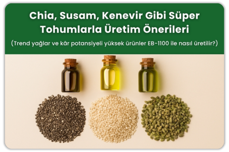 Chia, Susam, Kenevir Gibi Süper Tohumlarla Üretim Önerileri