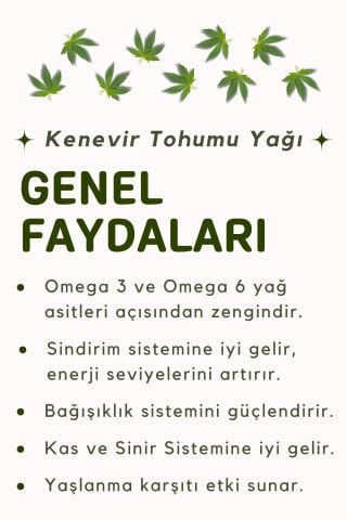 VİAYPİ Soğuk Preslenmiş Kenevir Tohumu Yağı / 250ml