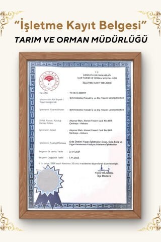 VİAYPİ Soğuk Preslenmiş Kenevir Tohumu Yağı / 250ml