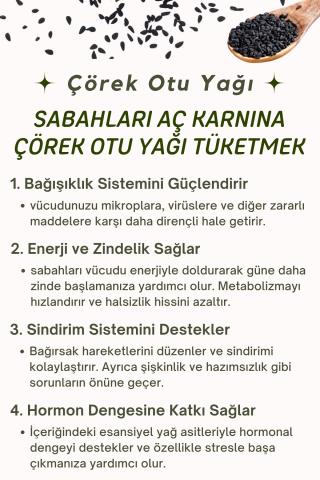 VİAYPİ Soğuk Preslenmiş Çörekotu Yağı / 250ml